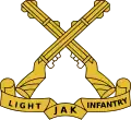 Jammu and Kashmir Light Infantry[7]