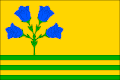 Flag of Janová