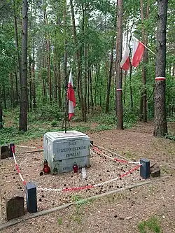 January Uprising insurgents grave in Emów