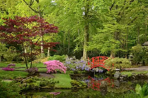 The garden in Spring