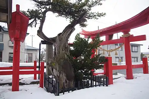 Outside a Shinto shrine in Fujisaki, Aomori