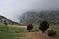 Jayroun