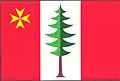 Flag of Jedlí