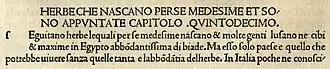 The roman type of Nicolas Jenson