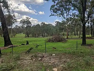 Jeremadra from Princes Highway