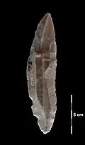 Example of a LRJ-type blade point from Ranis, Thuringia, Germany