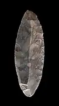 Example of a LRJ-type blade point from Ranis, Thuringia, Germany