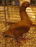 Red Roubaisien