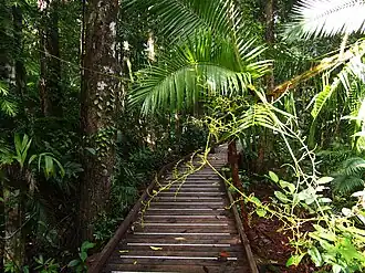 Jindalba Boardwalk, 2013