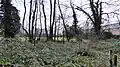 Jock's Copse