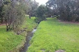 Merlynston Creek, Glenroy