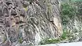 Roadside weathered diorite outcrop showing joints. Baguio-Bua-Itogon Road, Philippines