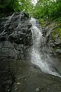 Jones Run Falls