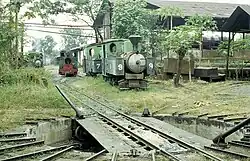 Djatibarang 9
