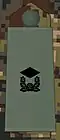 Junior lieutenant