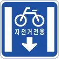 Bicycle only