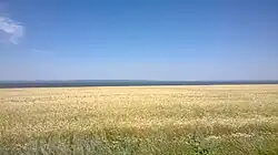 Kama River in Alexeyevsky District