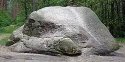 A photograph of Adalbert of Prague's Stone, a glacial erratic located within the vicinity of the settlement