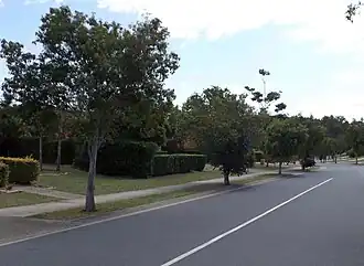 Karamea Avenue, 2014