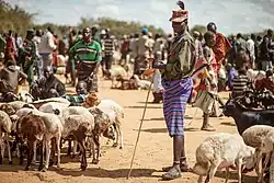 Karamojong Shepherd