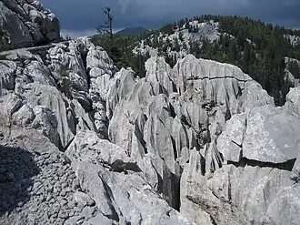 Vertically cracked grey rock