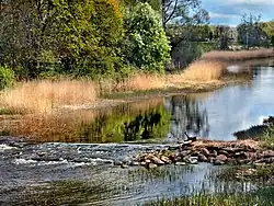 The Kasari River passing through Teenuse