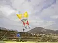 Novelty kite, by Carl von Canstein