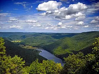 Vista