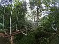Hanging bridge