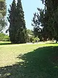 Greenery in Beit Nir