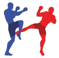 A low kick being checked.