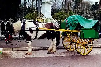 An outside car