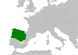 The Kingdom of León (green) in 1095.