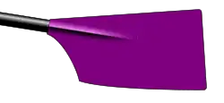 Image showing the rowing club's blade colours