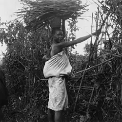 Gusii woman with a baby and a load of firewood c. 1916–1938
