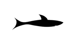 Shark