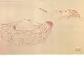 Image 18Sketch by Gustav Klimt