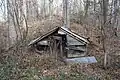 Shed in the wood