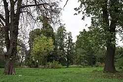 Park