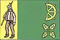 Flag of Košík