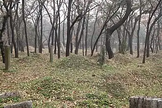 Cemetery of Confucius, Qufu, China, part of the UNESCO World Heritage Site "Temple and Cemetery of Confucius and the Kong Family Mansion in Qufu".