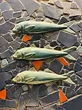 Fish mosaics, Carnegie