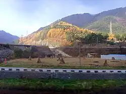 A view from a passing train captures a rural autumn landscape in Taebaek, featuring a railway bridge, power lines, and forested hills with patches of golden-yellow trees.