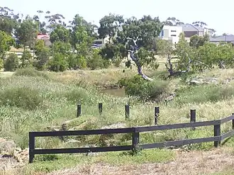 Kororoit Creek at Cairnlea