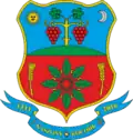 Coat of arms of Koson