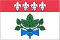 Flag of Koštice