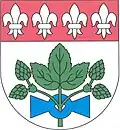 Coat of arms of Koštice