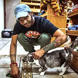 Kota the Friend in 2017