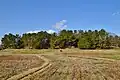 Panoramic view