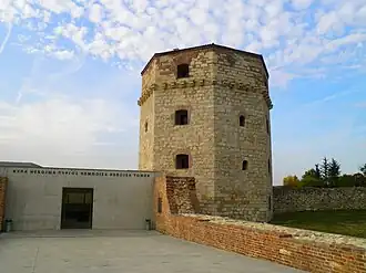 Nebojša Tower